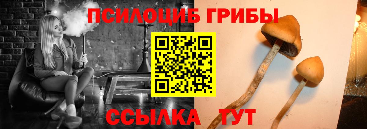 Галлюциногенные грибы MAGIC MUSHROOMS  Вход с VPN  Кондопога 